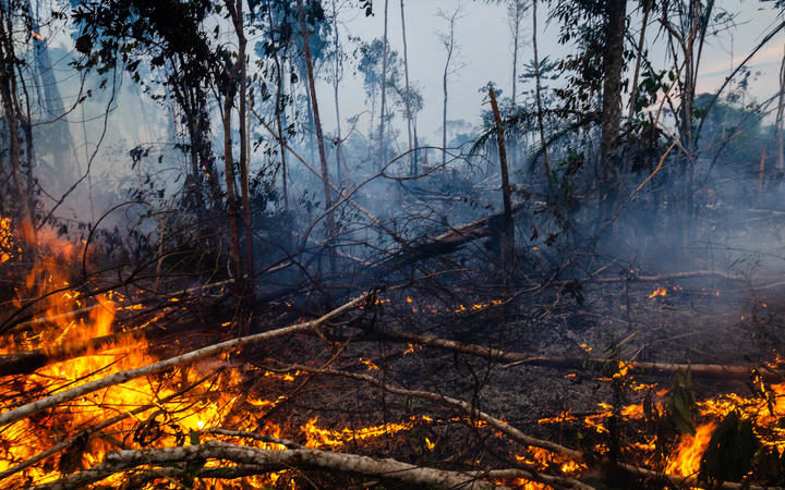 US and Brazil consent to Amazon advancement