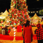 25 December ‘Christmas Day’