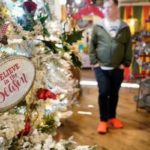 Record online deals give short U.S. Christmas shopping season a lift: report