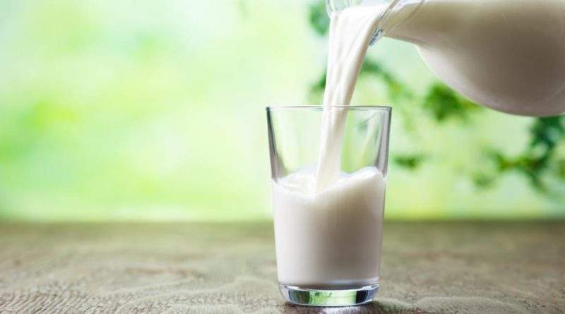 Milk: Is it as Healthy for Us as we Believe?