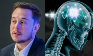 Elon Musk’s brain chip company ‘Neuralink’ is planning human clinical trials