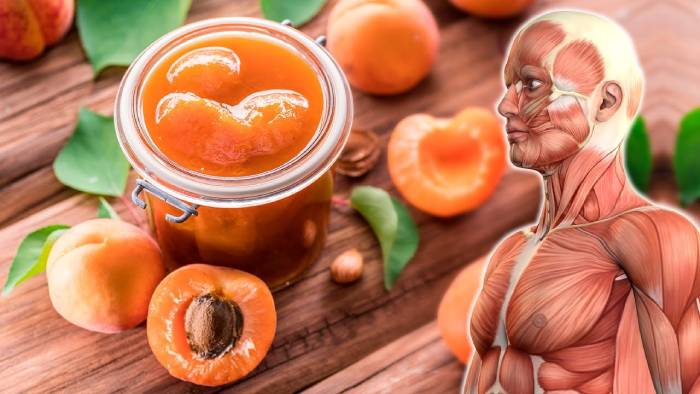 Apricots: 7 Best benefits for your health
