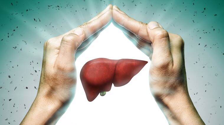 World Liver Day 2022: Here are some tips for keeping your liver healthy