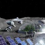 Researchers grow plants in lunar soil for the first time