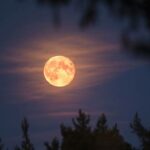 This week, the strawberry moon of June will shine brightly in the sky