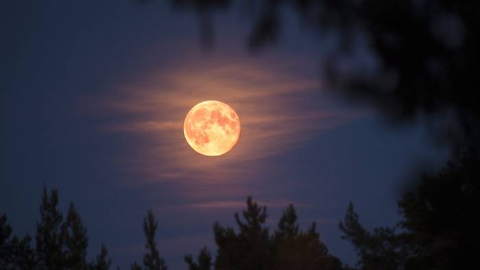 This week, the strawberry moon of June will shine brightly in the sky