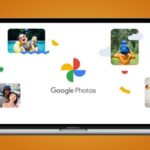 How to download all of the pictures from Google Photos