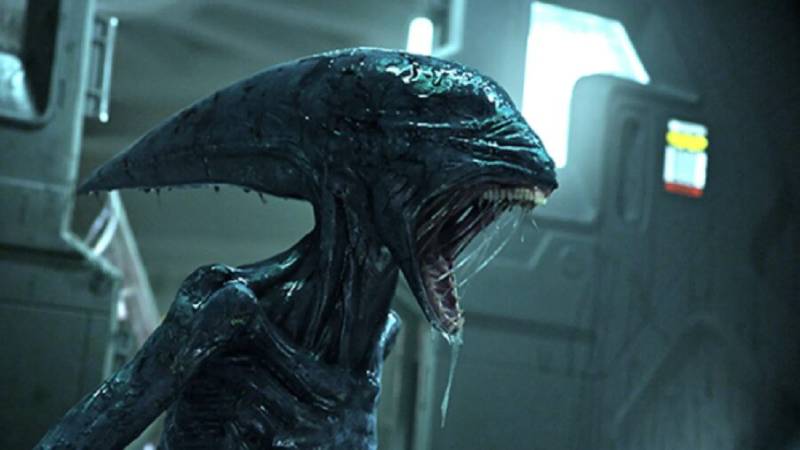 A new “Alien” film will be released in 2024