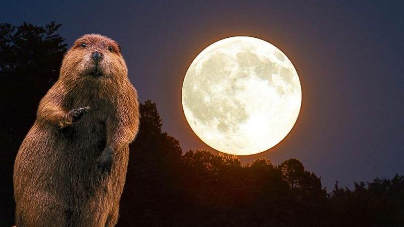 What is the Beaver Moon important, and what significance does it hold for Native Americans?