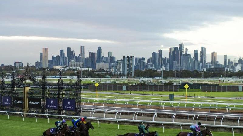 Top 5 horse racing venues according to capacity