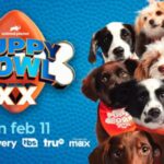 How and Where to Watch the Puppy Bowl Online in 2024