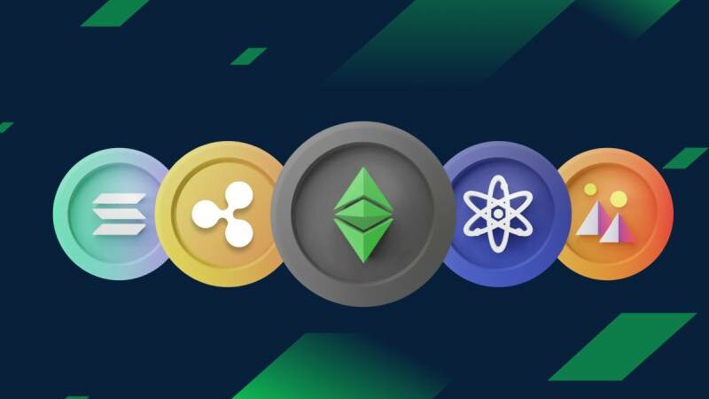 The Top 5 Altcoins This Year to Go From $100 to $1000