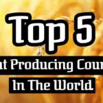 Which countries produce the most wheat worldwide?