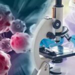 Top 5 Countries in the World for Highest Cancer Survival Rates