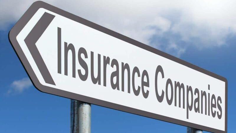 Top 5 Insurance Companies in the US based on Assets in 2024