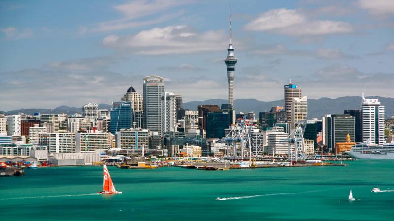 Top 5 Auckland-Based Marketing Companies You Should Know