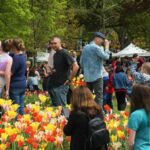 Albany Tulip Festival 2024 releases schedule details and band lineup