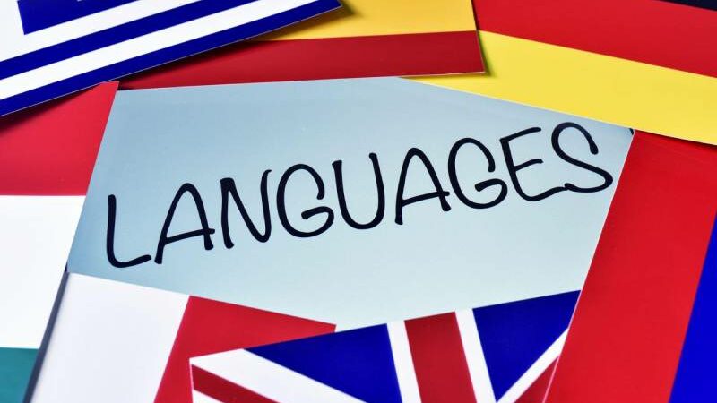 Top 5 Indian languages used in the US