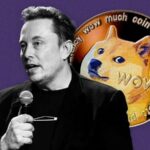 Elon Musk Dogecoin