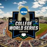 Why Is the CWS Format So Unique? Here’s How It Works