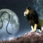 When Is Leo Season 2025? How It Will Affect Every Zodiac Sign