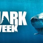 Shark Week 2025 showing a great white shark underwater