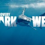Shark Week 2025 showing sharks and episode schedule on Discovery Channel