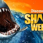 Tom Bergeron introduces Shark Week 2025 on Discovery Channel