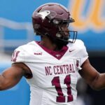 Fans celebrating during a 2025 HBCU football homecoming game with marching band and team spirit