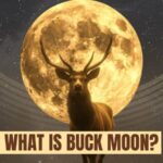 Buck Moon 2025: Date, Time, and How to Watch July’s Full Moon